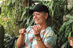 Feeding Hummingbird at Rockland's Bird Sanctuary